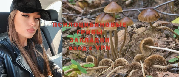 PSILOCYBIN Карпинск