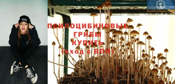 PSILOCYBIN Карпинск