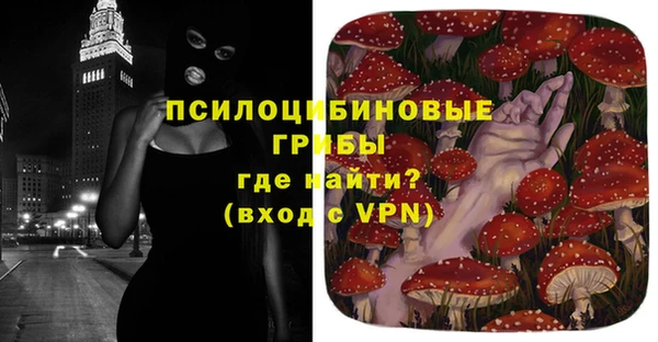 PSILOCYBIN Карпинск