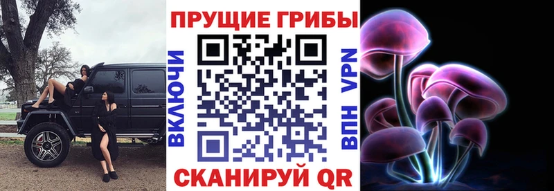 Галлюциногенные грибы ЛСД  Купить  Завитинск 